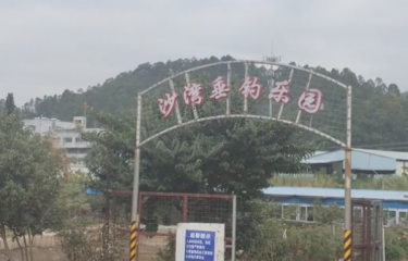 广州沙湾鱼乐场