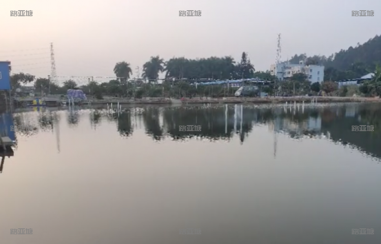 广州沙湾鱼乐场