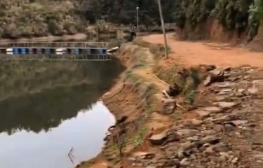 南平卧龙湾路亚钓场