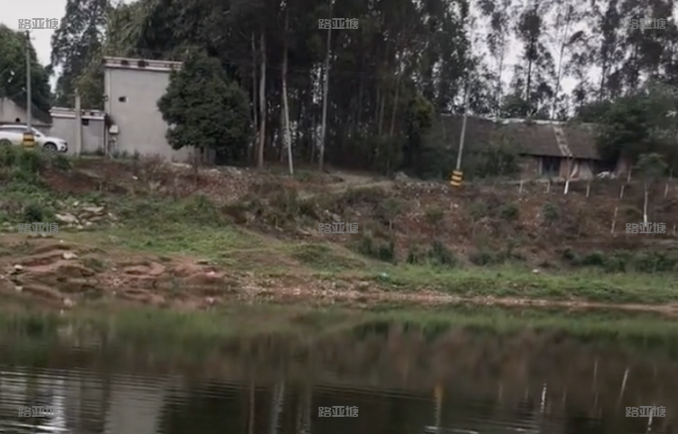 成都石路水库钓鱼场