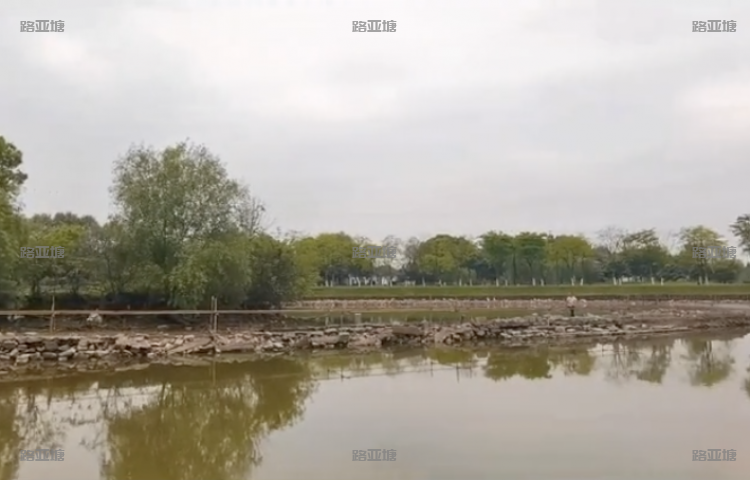 武汉落雁路亚垂钓中心