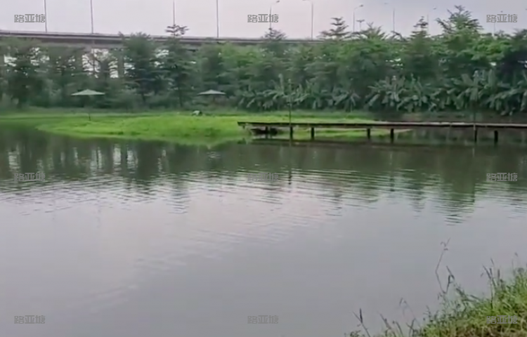 广州金目钓场
