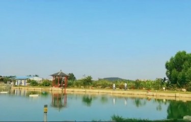 南宁南国田园居路亚基地