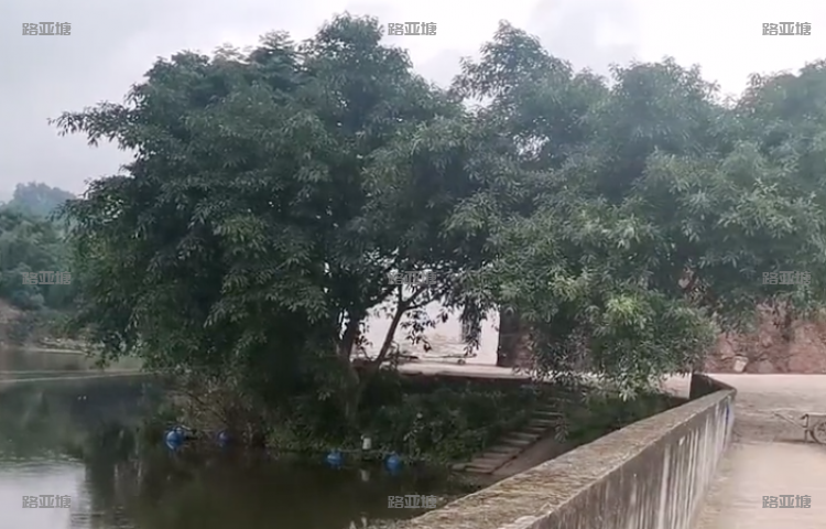重庆太平水库路亚基地