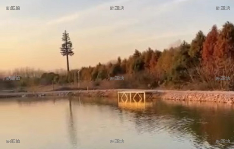 常熟阿秋路亚