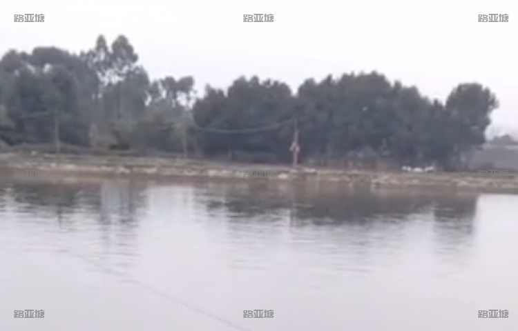 成都津东路亚
