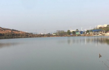 湘潭胡肖塘路亚基地