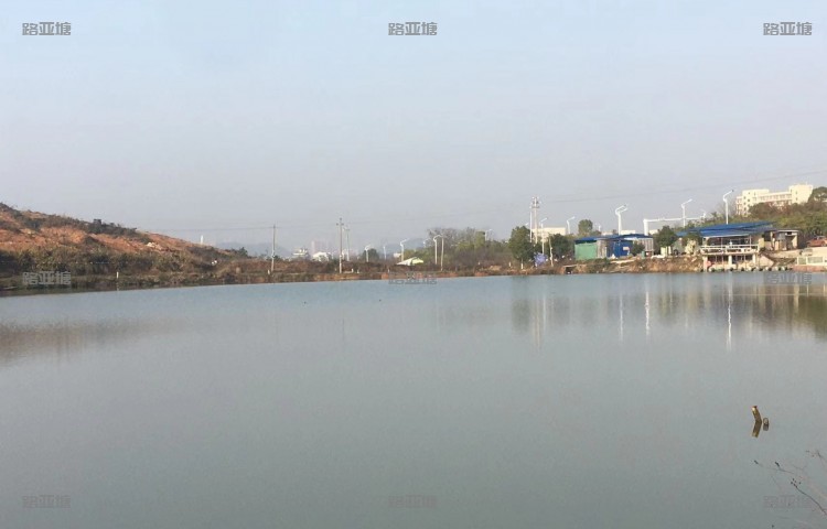湘潭胡肖塘路亚基地