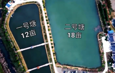 武汉魔都路亚基地