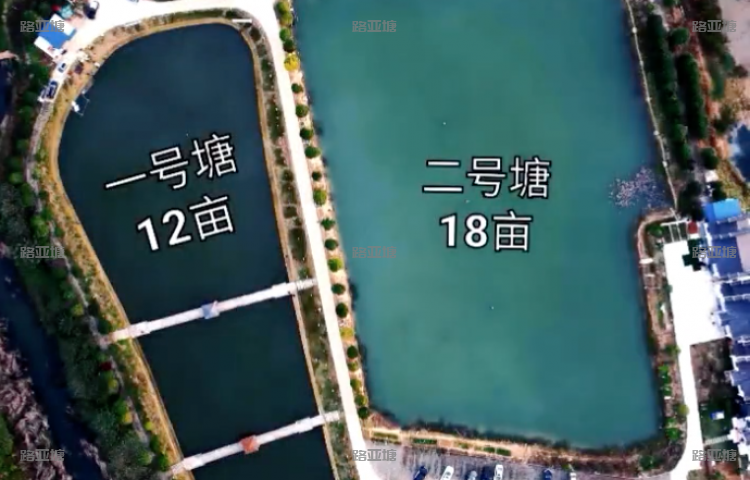 武汉魔都路亚基地