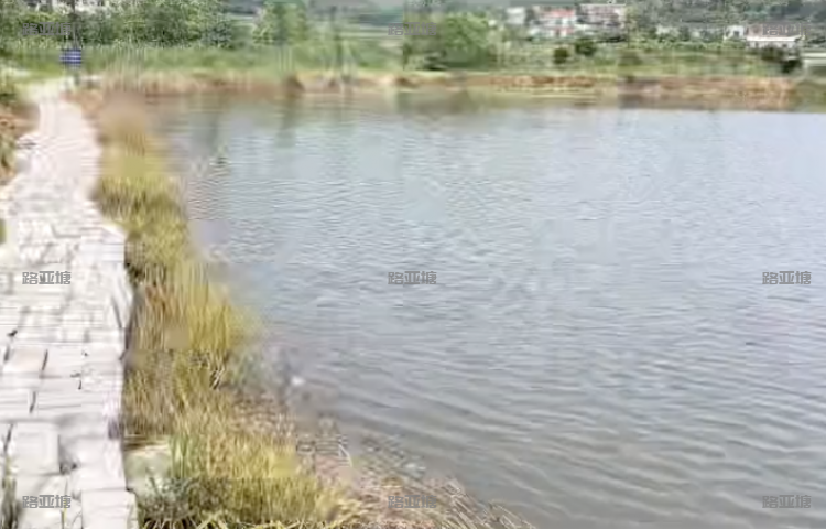 长沙西冲塘翘嘴路亚基地