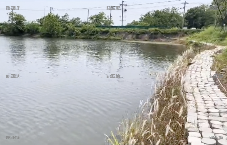 长沙西冲塘翘嘴路亚基地