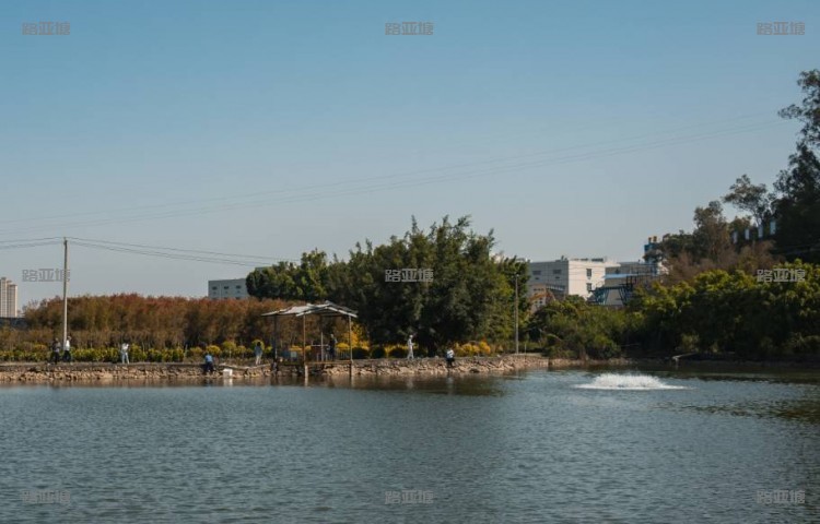 厦门竺缘路亚训练营