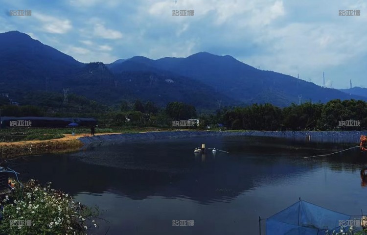 厦门小搞蓝山路亚基地