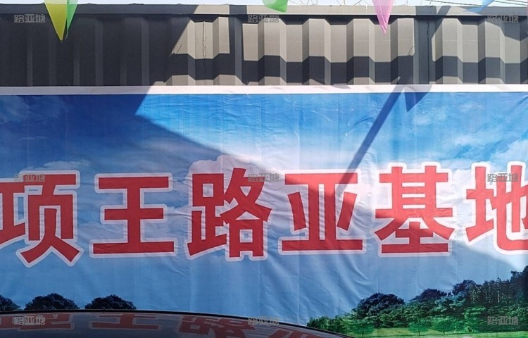 宿迁市项王路亚基地