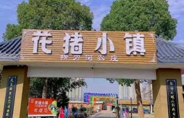 长沙花猪小镇路亚