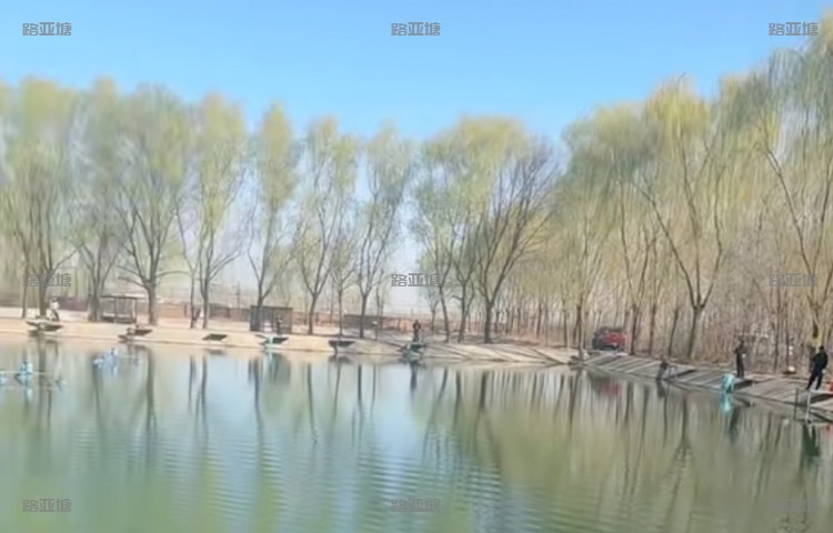 保定紫藤雨露垂钓园