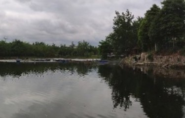 成都清清路亚鱼塘