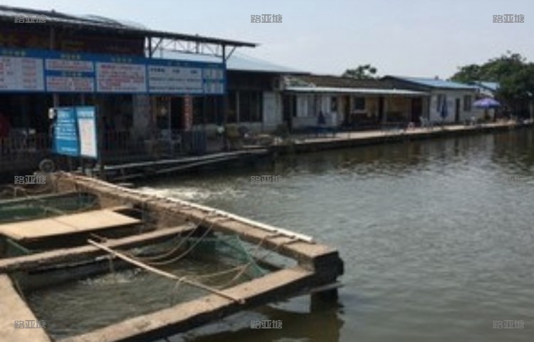 中山合益海钓场