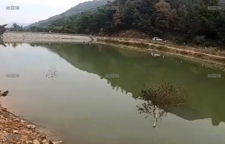 杭州桐庐荣耀路亚基地