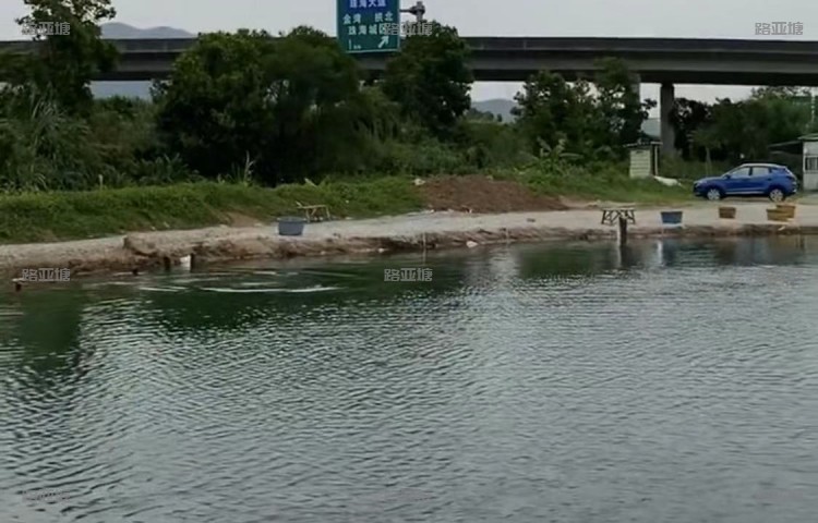 中山小林欢乐钓鱼场