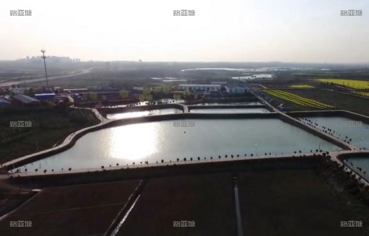 合肥圣水湖畔路亚基地