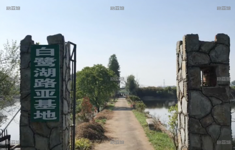 衡阳白鹭湖路亚基地