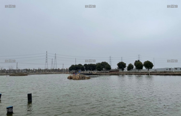 上海昆秀路亚塘