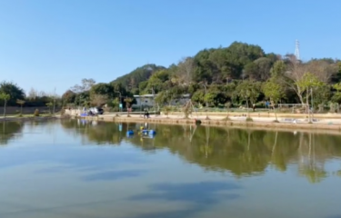 梅州龙丰路亚基地