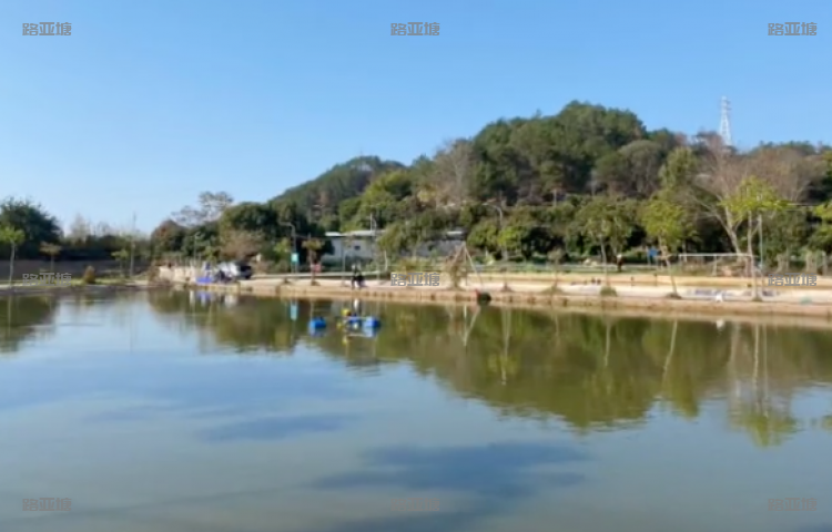 梅州龙丰路亚基地