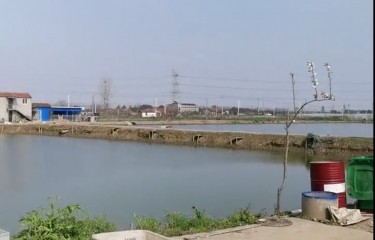 武汉666路亚基地