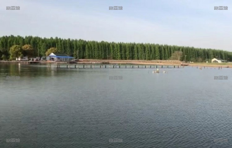常熟旺角路亚