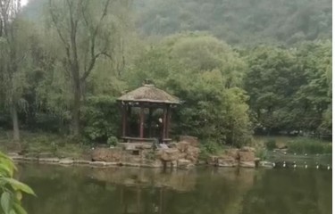 南京金陵路亚俱乐部