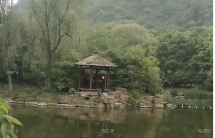 南京金陵路亚俱乐部