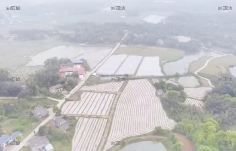 湘潭洺皓路亚