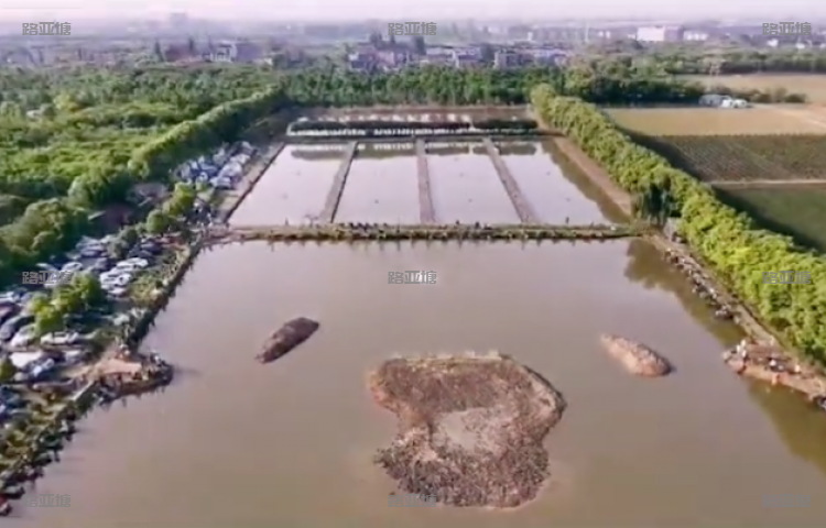 嘉兴海宁渔聚缘(大表姐)路亚垂钓基地