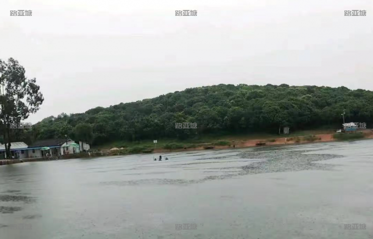 东莞横塘荔枝山钓场