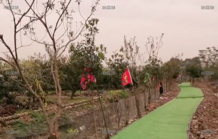 乐山一加路亚基地