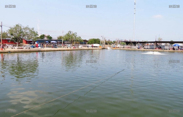 中山合溢海钓场