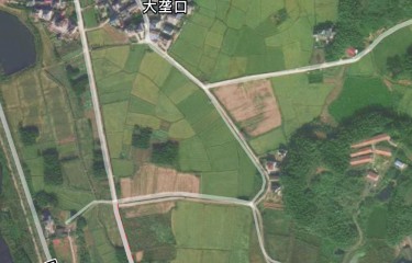 衢州龙游波波路亚