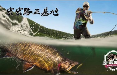 泸州宏宏路亚基地