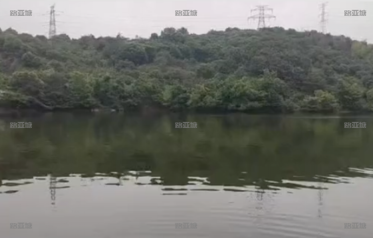 宁波钓者徐民段杨家路亚