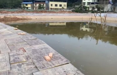 德阳红光路亚