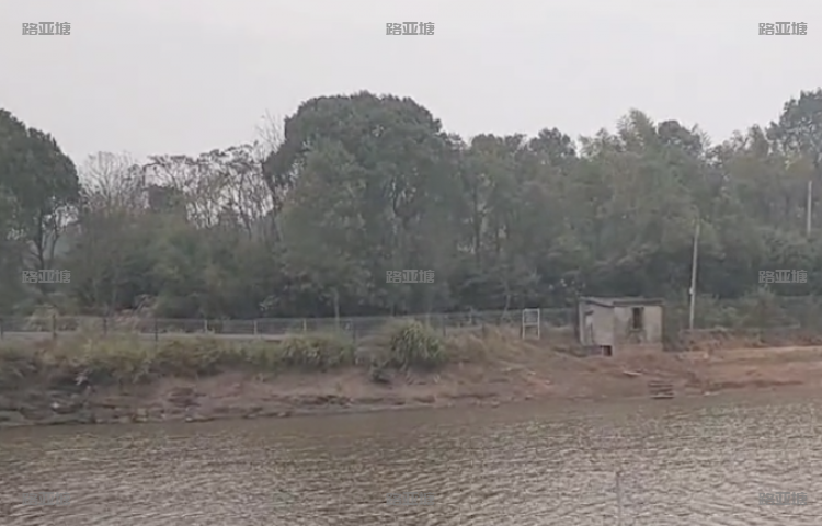 株洲鸡嘴山路亚基地