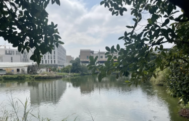 珠海菠萝蜜开心农场