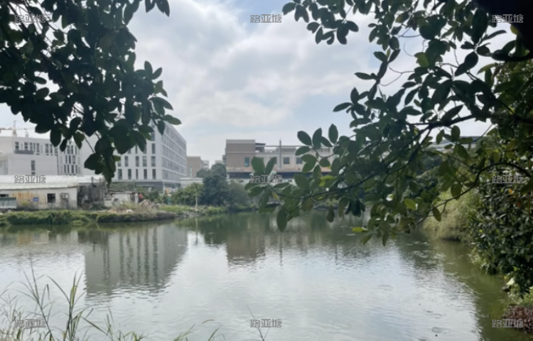 珠海菠萝蜜开心农场