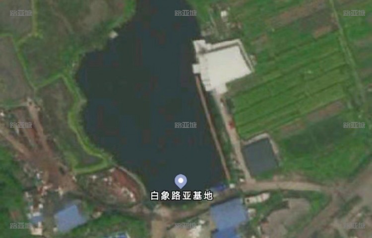 温州白象路亚基地