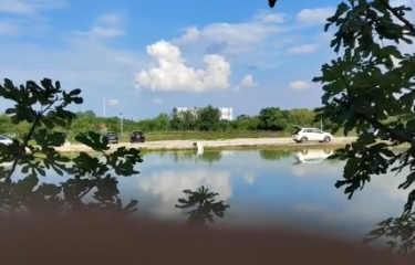 武汉天湖路亚基地