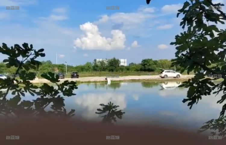 武汉天湖路亚基地