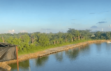 广州大炮海钓场